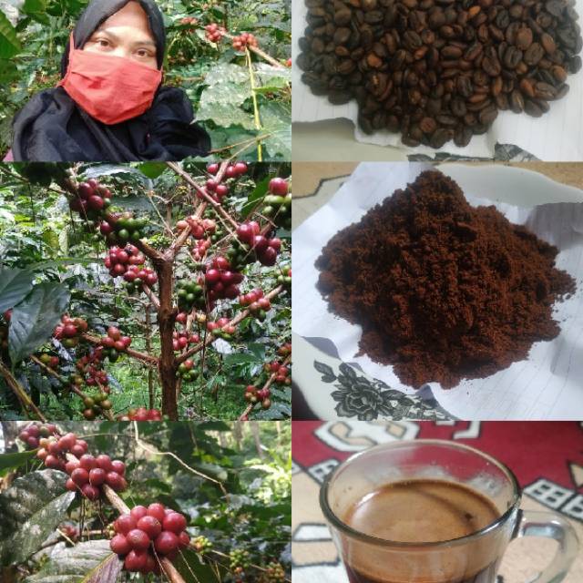 

Kopi arabika natural ciwidey