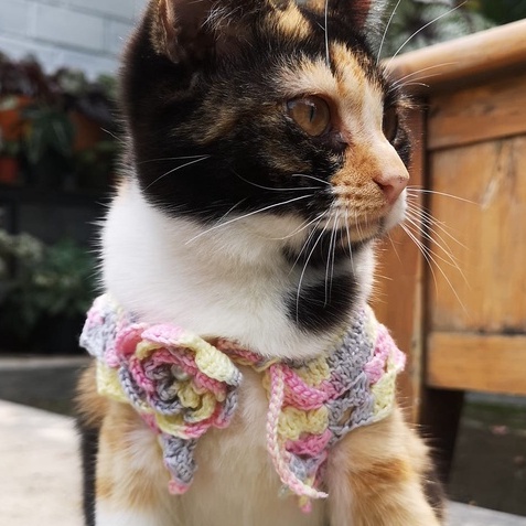 Kalung Kucing Crochet Collar Kerah Rajut
