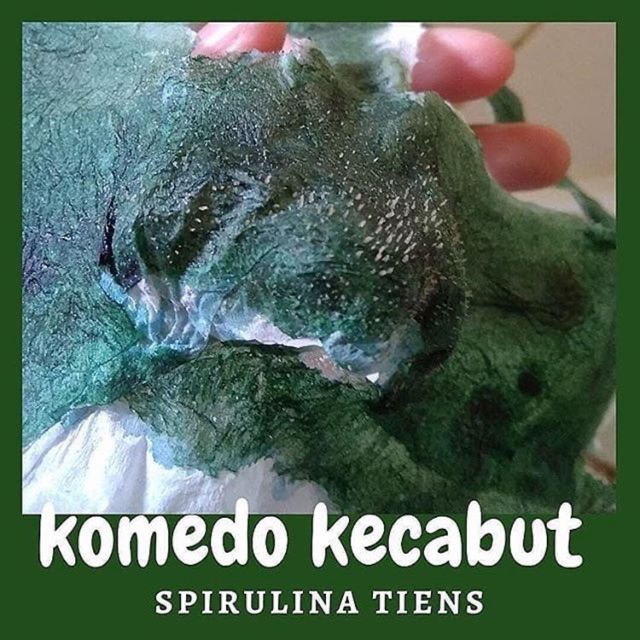 MASKER SPIRULINA ORI TIENS - ANGKAT KOMEDO - FREE KUAS , MANGKUK, FACIAL