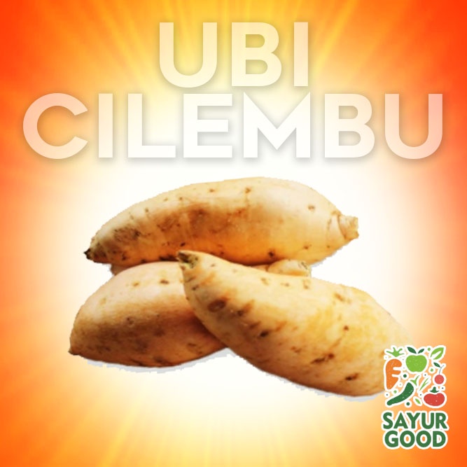 

Ubi Cilembu Mentah / Ubi Cilembu Segar 1 Kg