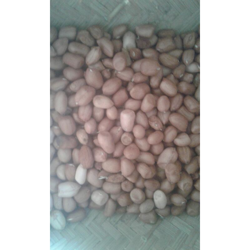 

kacang tana kupas 1 kg