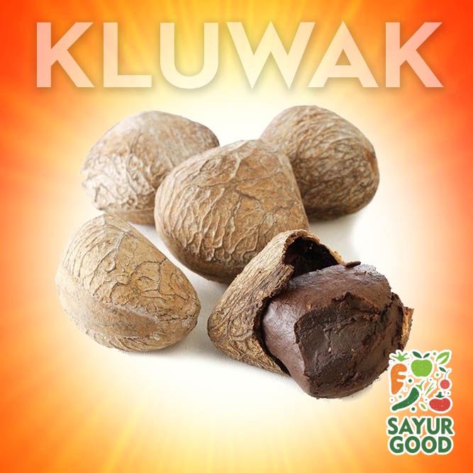 

Kluwak / Kluwek / Kepayang / Kepahiyang / Picung / Pucung Rawon / 250gr