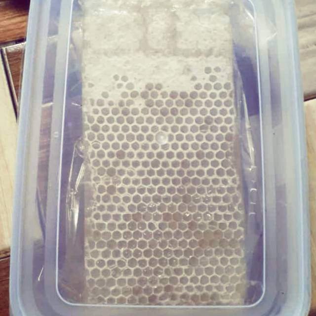 

Madu sarang 250 gram