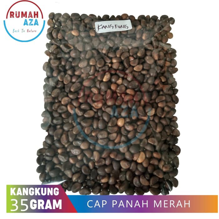 Bibit Tanaman - Benih Bibit Kangkung hidroponik - traditional