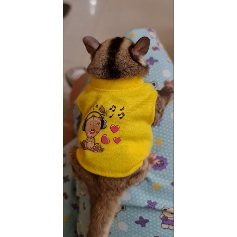 Baju Sugar Glider