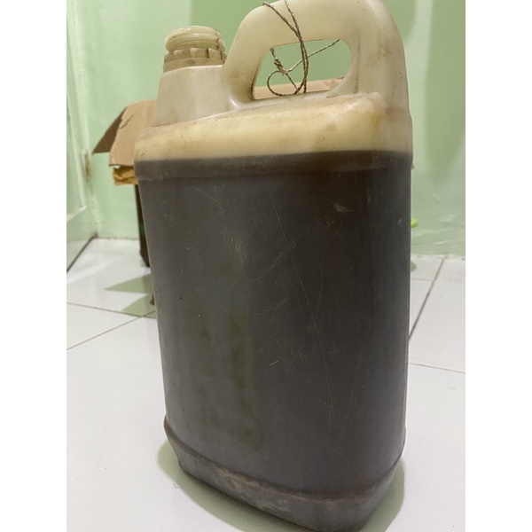 

Madu asli hutan pohon kayu putih