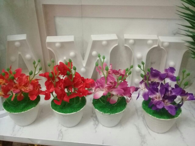 Pot Tawon 10cm Putih Pot Bunga Plastik Lusinan Murah Pot Bunga Murah Grosir Lusinan