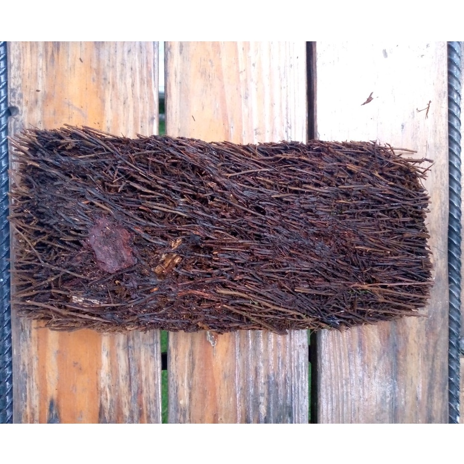 Media Tanam Pakis Lempeng / Media Tanam Anggrek / Pakis Kotak