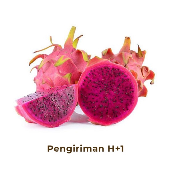 

Buah Naga Segar Dragon Fruit