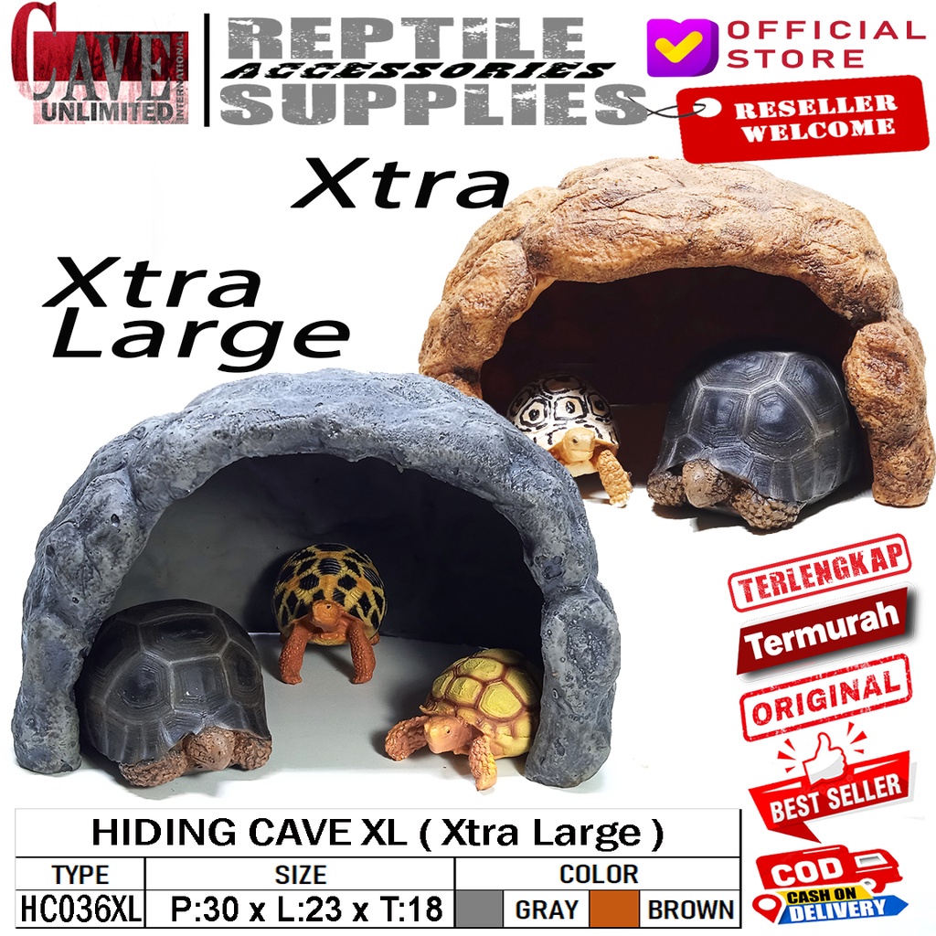 hc036xl xtra large hiding cave gua sembunyi rumah kura kura darat sulcata sulkata reptile reptil ula