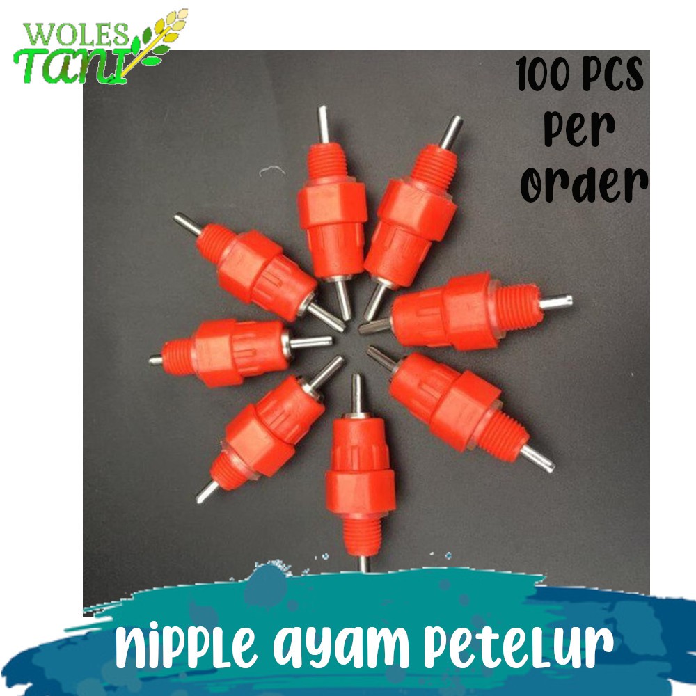 Nipple Nepel Ayam Petelur 100 Pcs
