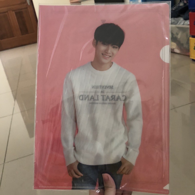 mingyu seventeen in caratland file a4