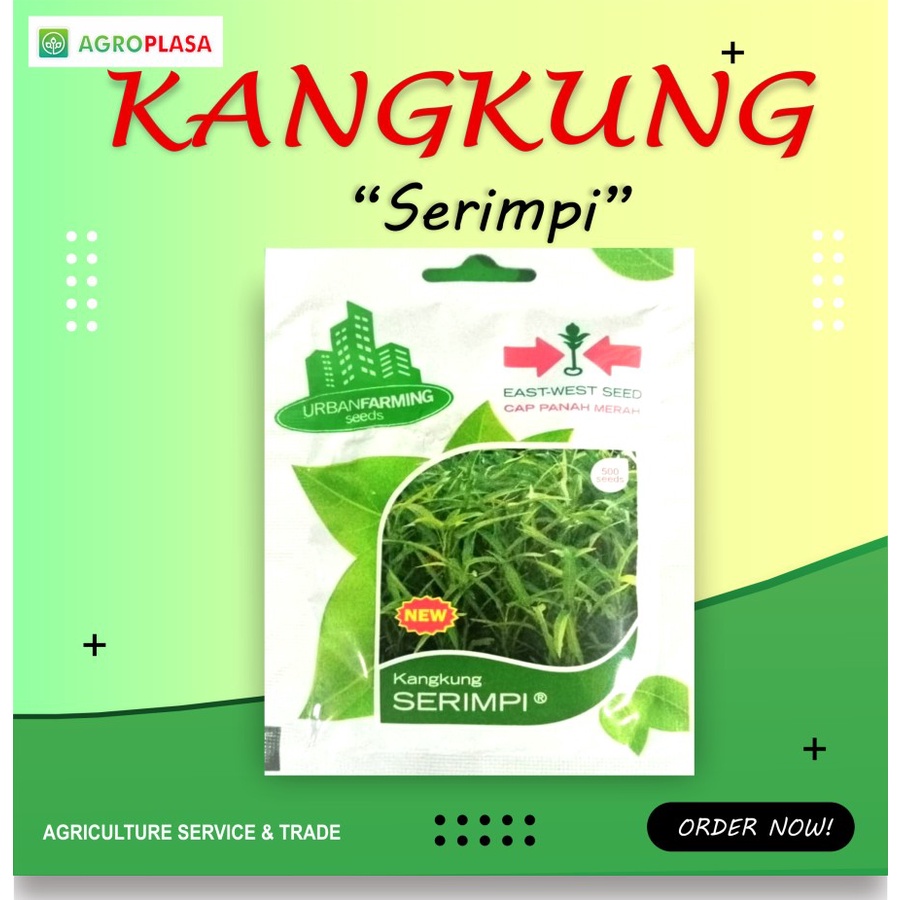 Benih Kangkung Serimpi - Cap Panah Merah