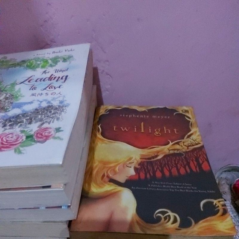 Novel PreLoved Twilight Saga, Negeri 5 Menara Trilogi, Critical Eleven