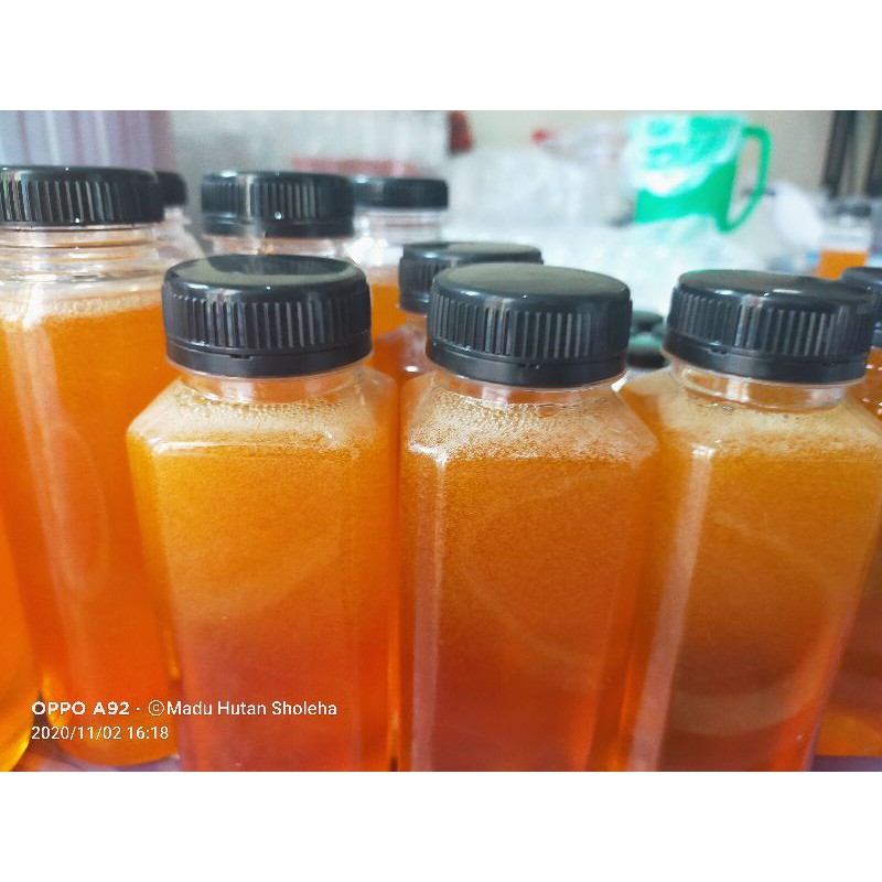 

Madu hutan sholeha