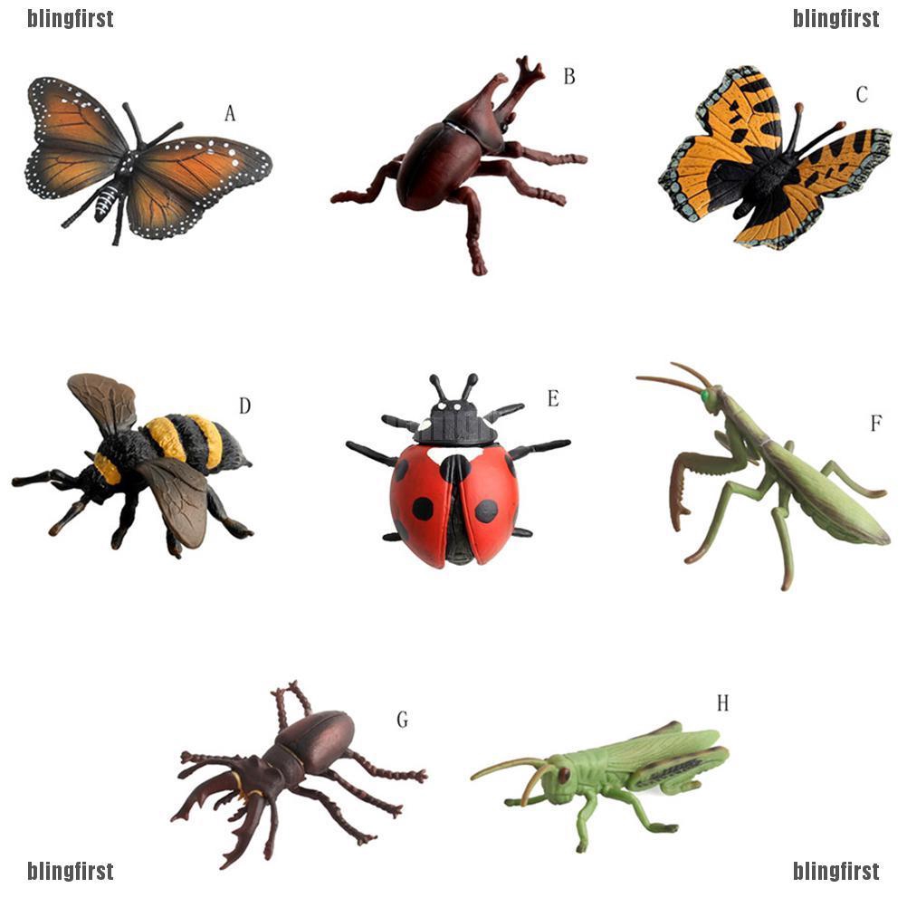 Gambar Kartun Binatang Serangga - Gambar Kartun