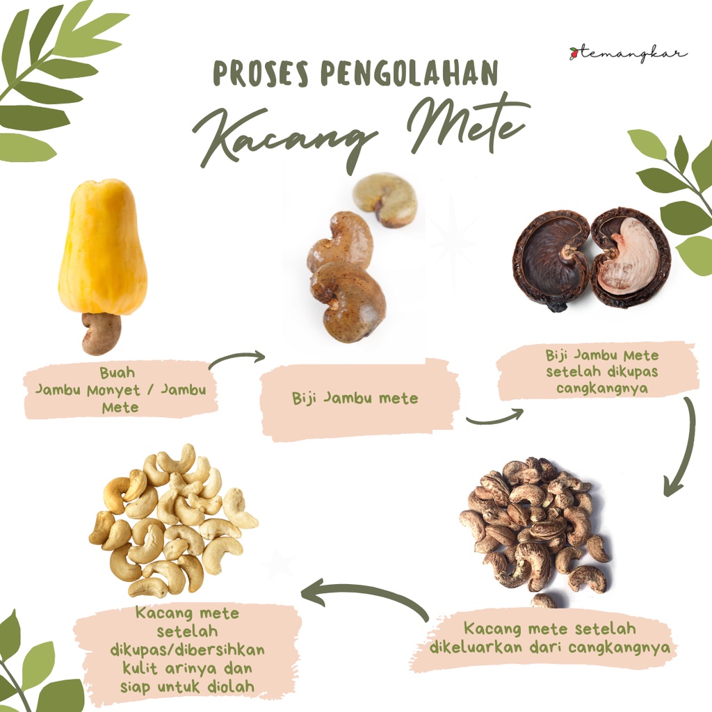 

KACANG METE / MEDE GORENG/MATANG GURIH ASIN BAWANG WONOGIRI 1KG MURAH PROMO