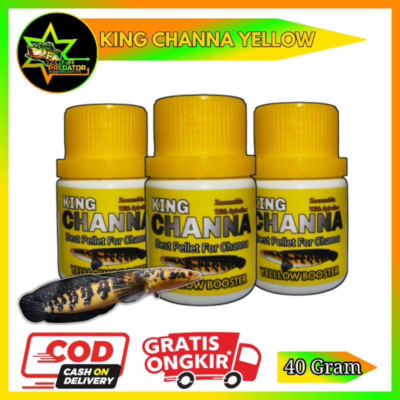 Pelet King Channa Yellow 40 Gram Original-GFS