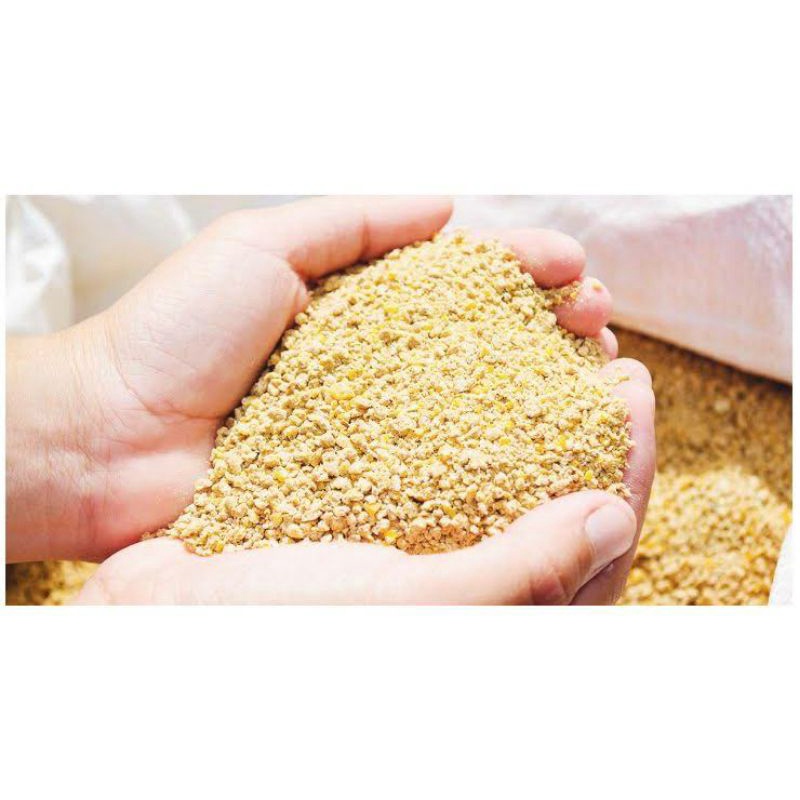 pakan ayam 511 pur vur anak ayam 1 kg