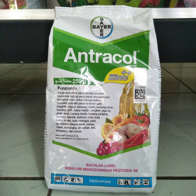 ANTRACOL 70WP 250 GRAM