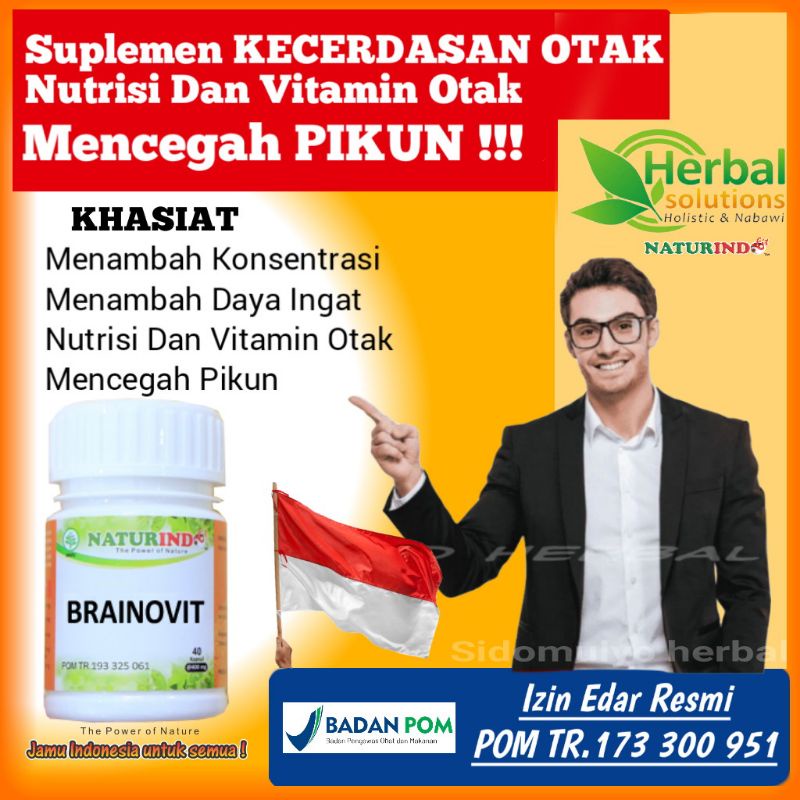 vitamin otak dewasa dan anak anak menambah konsentrasi dan daya ingat nutrisi dan vitamin otak anti pikun