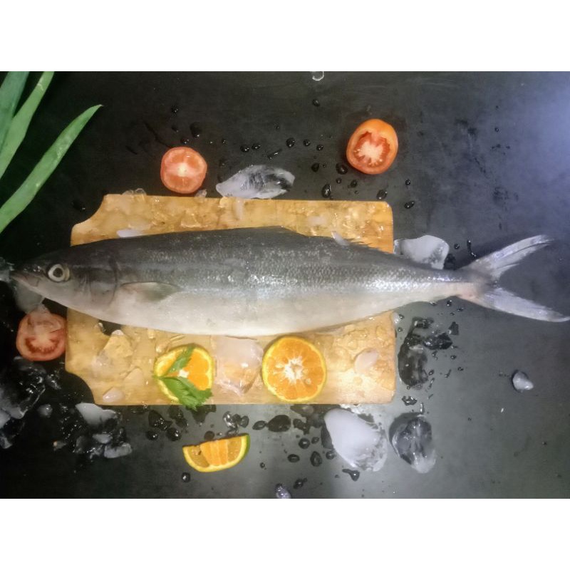 ikan salmon lokal 1 kg/salmon lokal fresh/salmon lokal