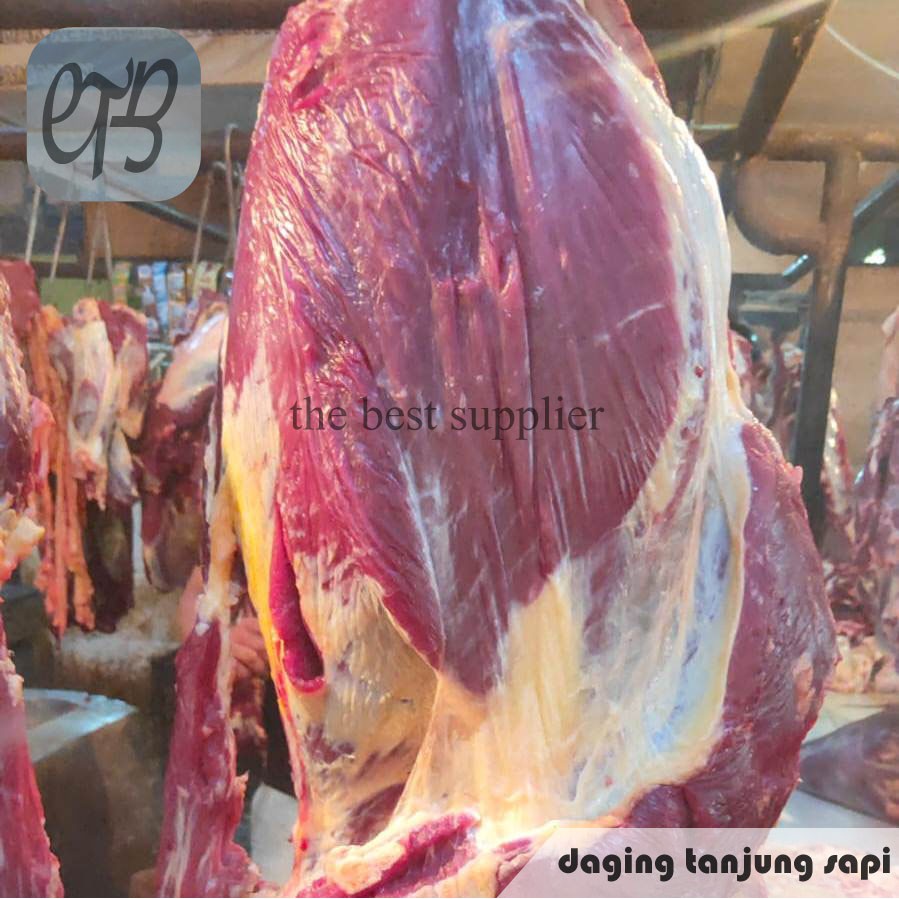 

Daging Tanjung Sapi Lokal Segar