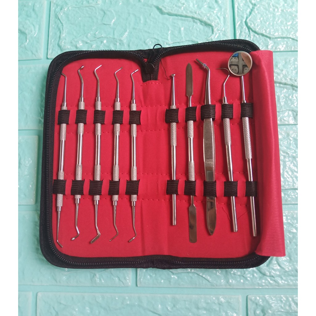 Dental Instrument Kit Dompet Dentica Dental Set