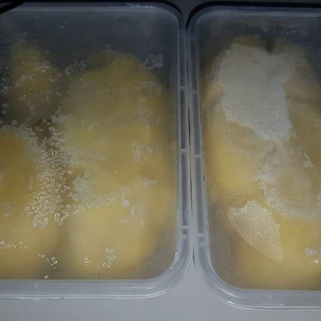 

Murah Durian Montong Palu