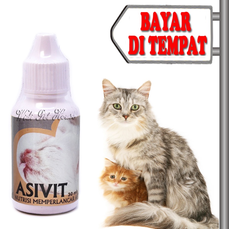 Vitamin Menyusui Kucing Pelancar Air Susu Asivit