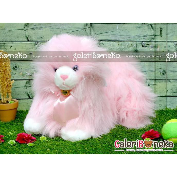 TERMURAH Boneka Kucing Anggora Pink ( HK - 201055 )