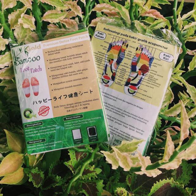 KOYO KAKI BAMBOO GOLD