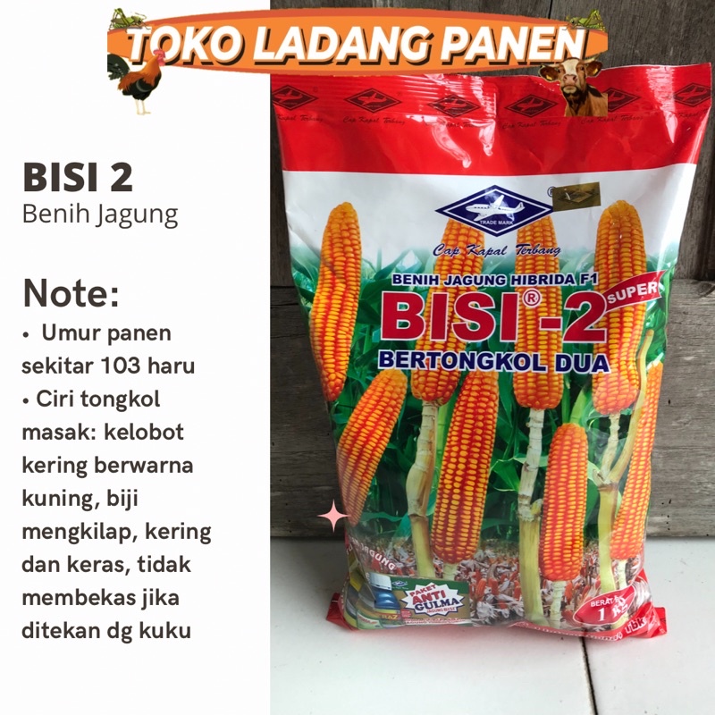 Benih Jagung Bisi 2 Cap Kapal Terbang