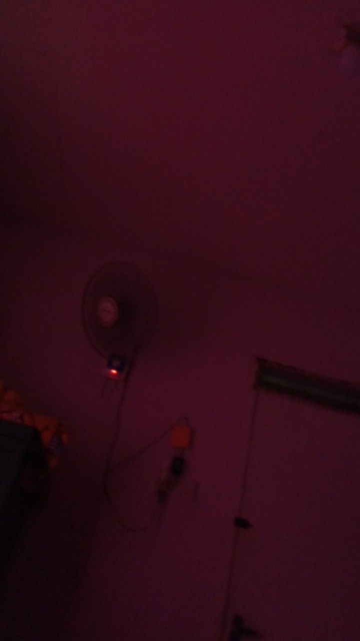 Fata - Sprei Single Flat 120x200cm Motif Blackberry