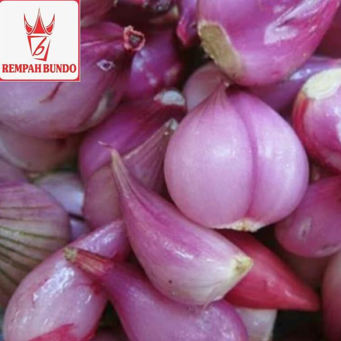 

Promo Awal tahun Bawang Merah Kupas ukuran sedang 1 kg Big Sale