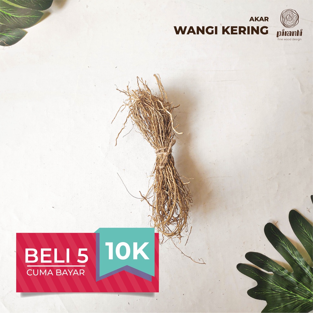 PIRANTI PROPERTI HIASAN AKAR RANTING KAYU MANON WANGI TANAMAN KERING FOTO PHOTO DEKORASI MURAH