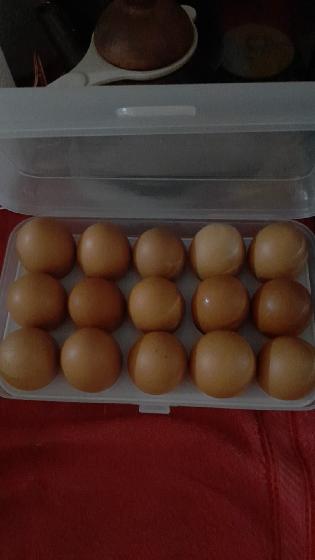 Tempat Telur 15 Lubang Dan Sekat (box Telur)