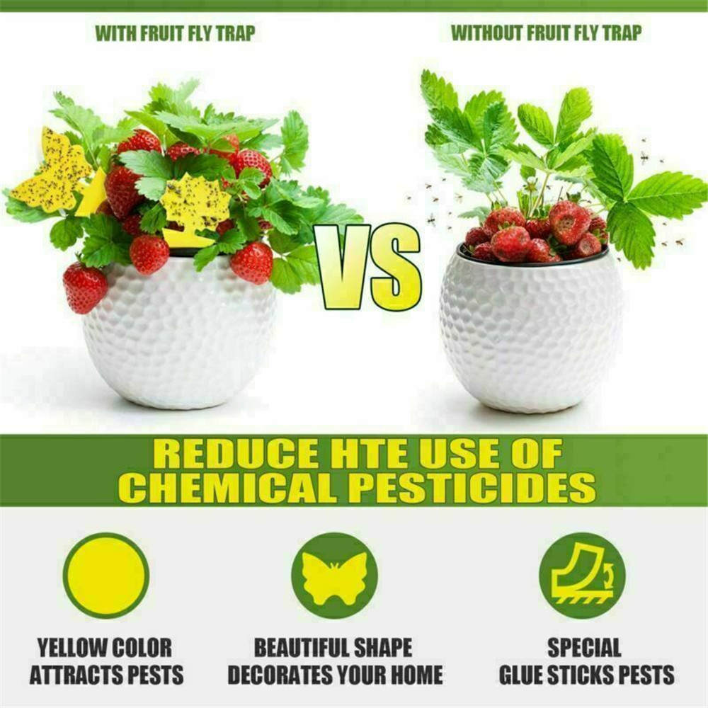 1pc Stiker Plat Kuning Perangkap Lalat / Nyamuk