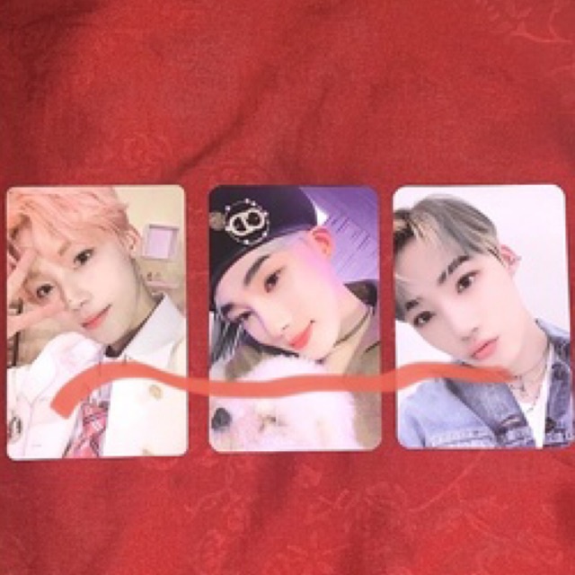 photocard pc chanhee new the boyz tbz bloom bloom wd3 ms2
