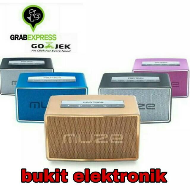 SPEAKER POLYTRON MUZE PSP B-1