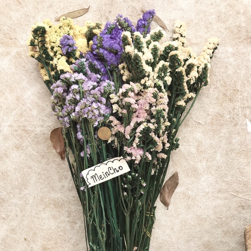 (25-100gr) GROSIR Bunga Kering STATICE Caspea Dried Flower Rustic Import Aesthetic Dekorasi Rustik