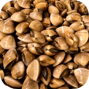 

Kerang Kepah 500 g