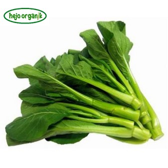 

KAILAN CHINESE KALE FRESH SAYUR ORGANIK SEGAR BANDUNG BEBAS PESTISIDA FREE GMO
