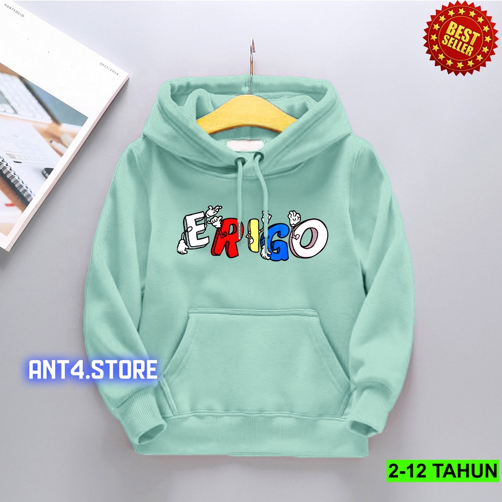 Hoodie TERBARU  Anak Perempuan Laki Laki  / Hoodie BEST SELLER Anak Usia 2 3 4 5 6 7 8 9 10 11 12 Tahun / Jaket Anak / Sweater Distro Bisa Cod