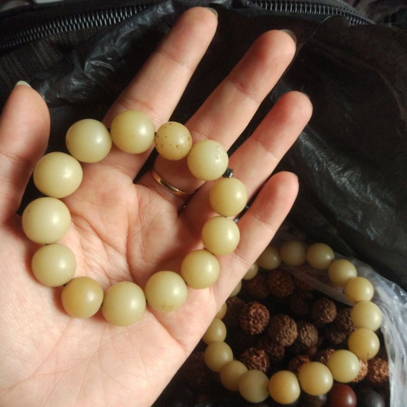 gelang biji gebang