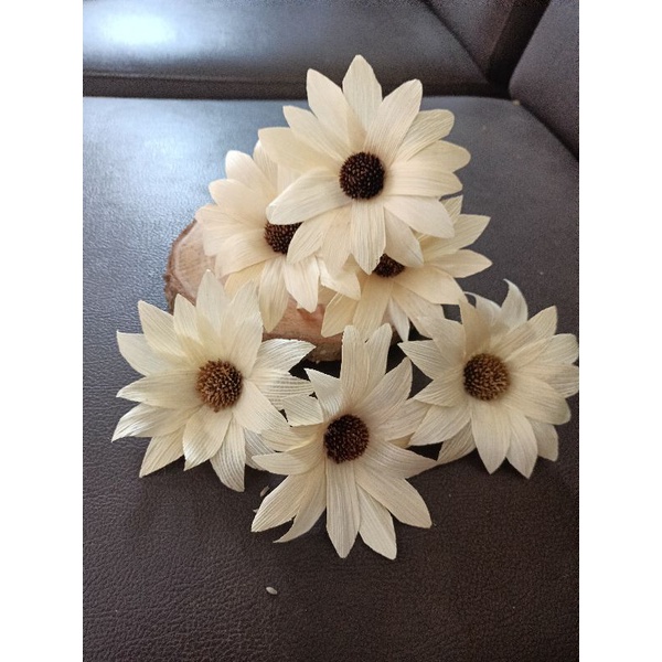 bunga klobot jangung matahari cantik