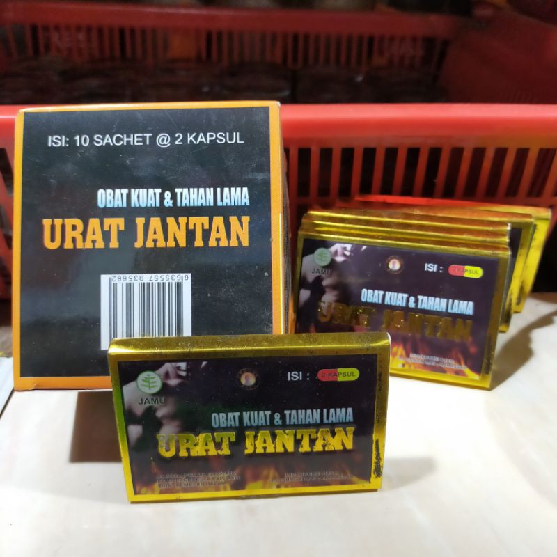 

URAT JANTAN