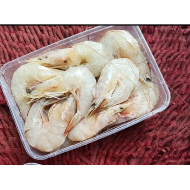 

udang laut fress kemasan tepak