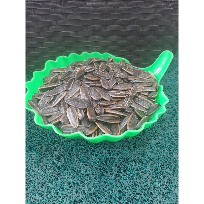 

[KILOAN] KWACI BIJI MATAHARI / KUACI REBO