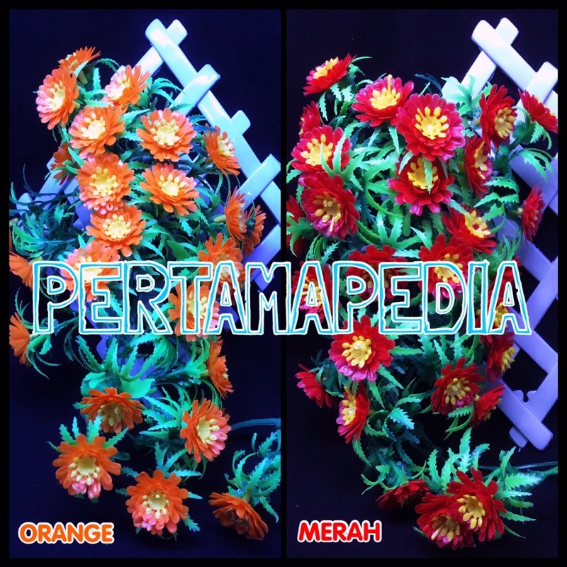 C5 Bunga Aster Gigi/Bunga Plastik/Daun Plastik/Rumput Plastik/Daun Rambat Plastik/Bunga Dekorasi-1